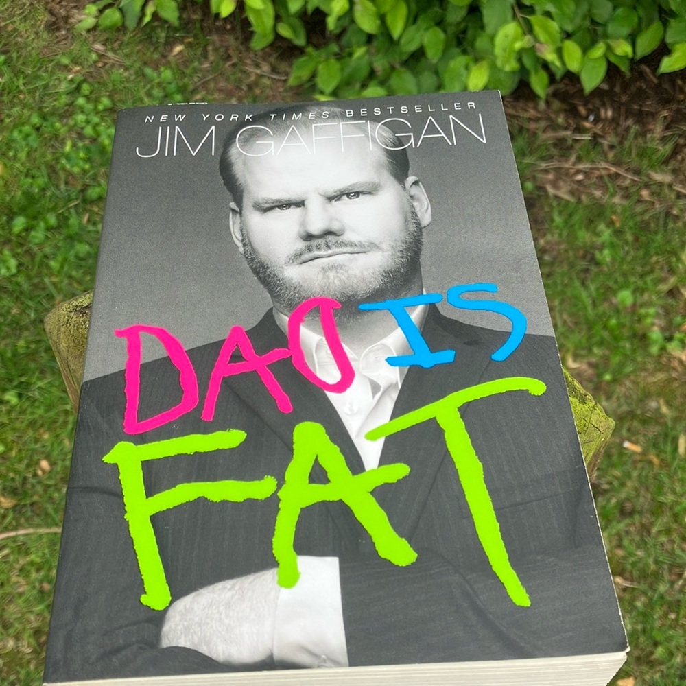 'Dad Is Fat' Book - Jim Gaffigan

Excellent condition